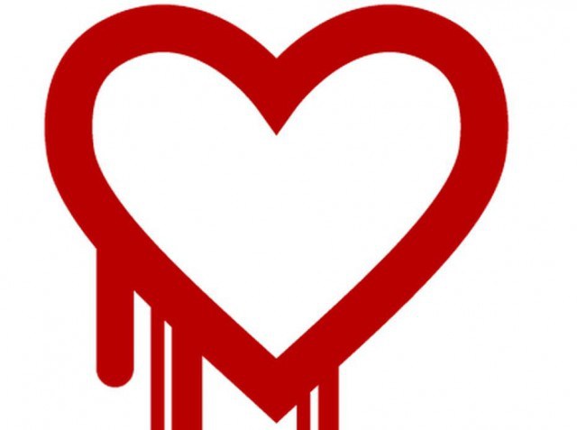 Heartbleed bug