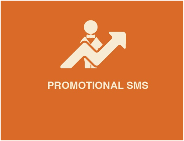 Use bulk SMS service to Send Promotional SMS