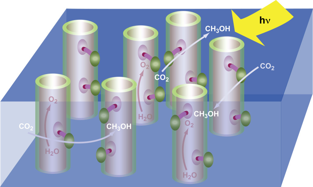 This Artificial “Leaf” Can Produce Fuels From Carbon Dioxide And Sunlight