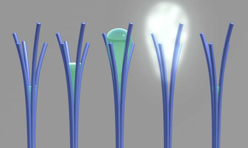 Nanorods Could Create Clean Water