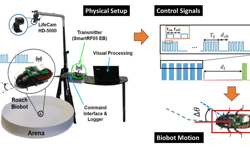 Tracking the Movement Of Cyborg Cockroaches