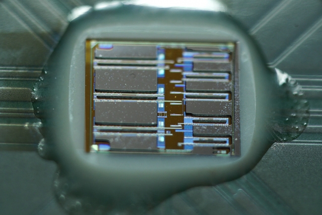 Optoelectronic Chips