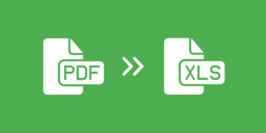 Excel vs PDF